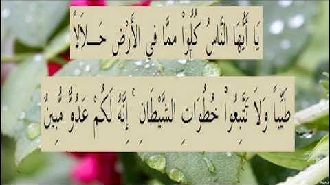القران الكريم سورة البقرة الاية 168