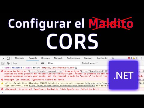 Configurar el Maldito CORS en C# ASP .Net 😠