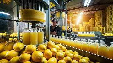 From Farm to Bottle: The Lemon Juice Manufacturing Process