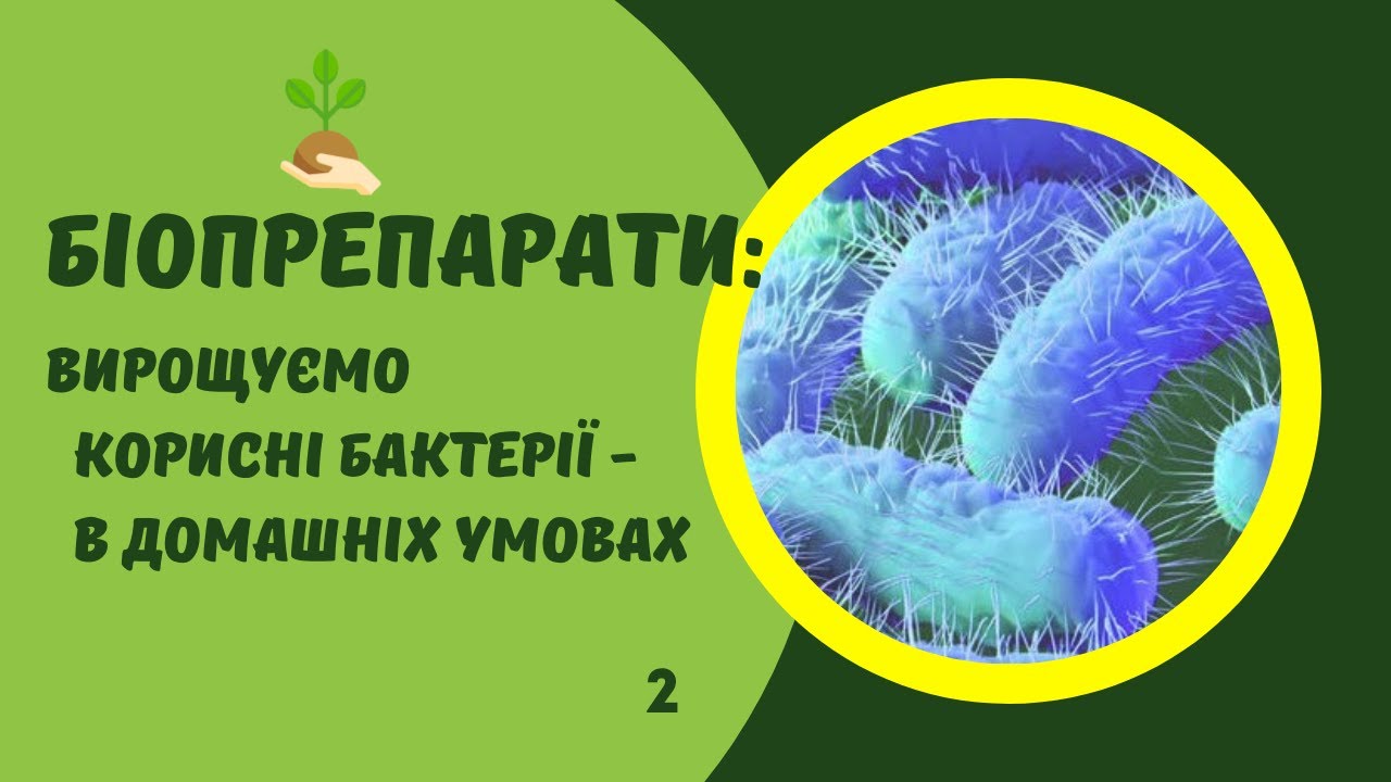 Як виготовити біопрепарати для захисту рослин в домашніх умовах.