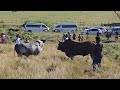 Kwashuba рџ Inkani Ku Stimela Kwashuba рџ Inkani Ku Stimela