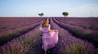 James Quinn - Lavender Fields (25 minutes) James Quinn - Lavender Fields (25 minutes)