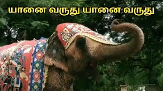 Yaanai Varuthu Yaanai Varuthu l யானை வருது யானை வருது l Tamil Rhymes for Children l  Toddlersslate.
