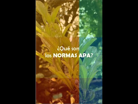 ¿Qué son las Normas APA? - Aprender a investigar