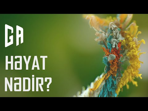 Video: Həyat nədir və onun mənası nədir?