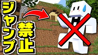 【マインクラフト】ジャンプが出来ない世界で上を目指して脱出しろ！？【マイクラ】