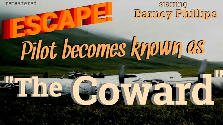 Pilot unfairly called "The Coward"  [remastered]  ...