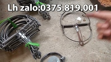 Bẫy chuột kinh tế bằng cạm 9cm bẫy lối đi,bẫy bán nguyệt bẫy mồi siêu hiệu quả.Lh 0375.819.001