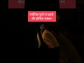 Jyotiba Phule | Phule film scene #dalitsamaj #dalitvoices #phulefilm #savitribaiphulespeech #jaibhim