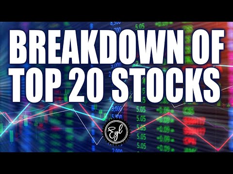 BREAKDOWN OF TOP 20 STOCKS
