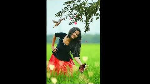 Facebook status video editing  with mobile | Vimage Photo Editing   animation with video and photo