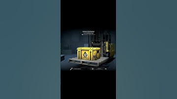 CS2 Day 19 of case opening till I get a gold! 💛