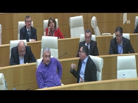 პარლამენტის სხდომა