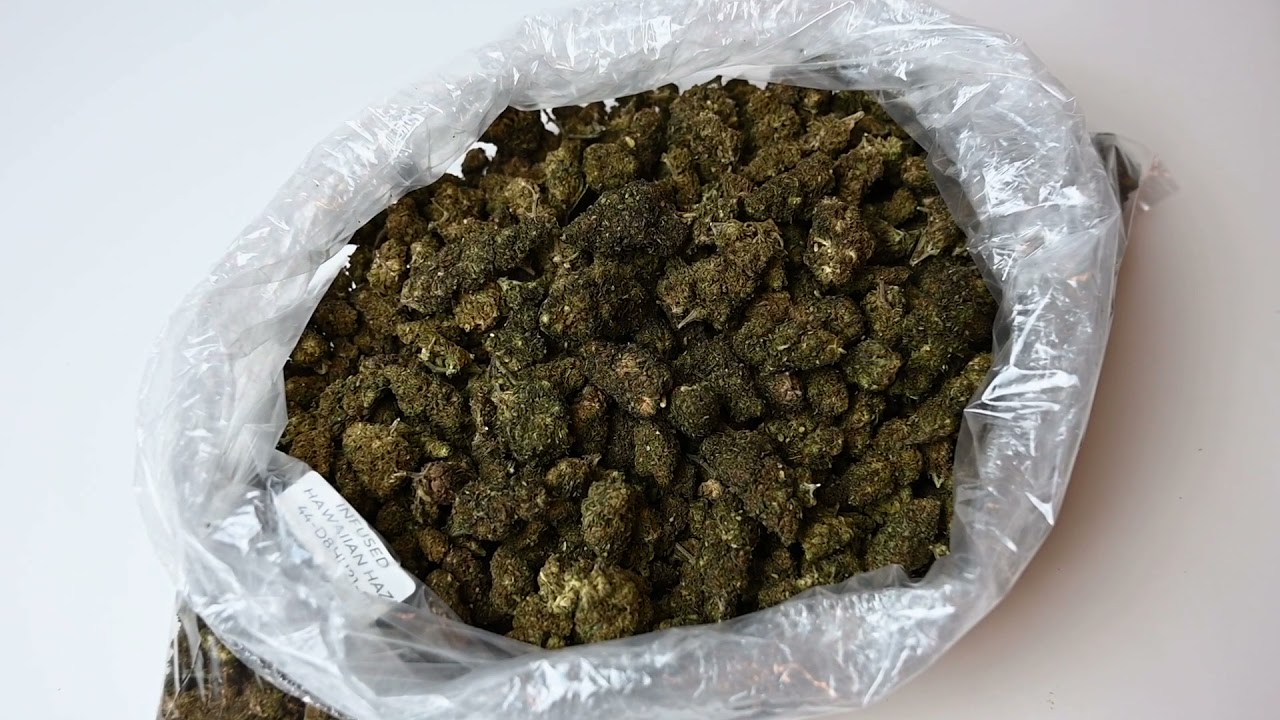 Delta-8 Infused Hawaiian Haze Premium Hemp Flower