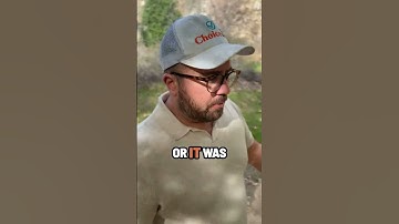 The IRS Makes Mistakes   Even With Levies!