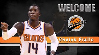 The Best Of Cheick DIALLO | 2019-20 NBA