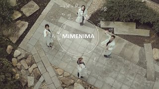 MIMENIMA - Micro-, meso- and macroporous nonmetallic Materials: Fundamentals and Applications