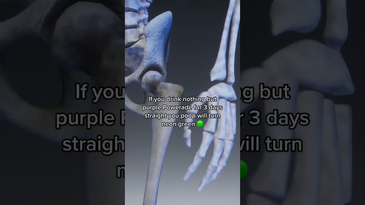 Trying Foreign Snacks for the First Time! 🍬🌍