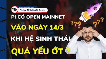 Pi Có Open Mainnet Vào Ngày 14/3 Khi Hệ Sinh Thái Quá Yếu Ớt?