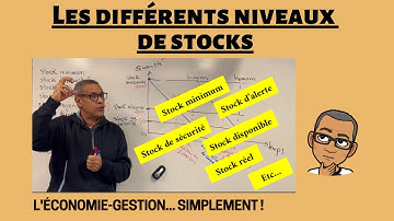 LES DIFFERENTS NIVEAUX DE STOCKS : d