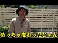 半年ぶりのじゅんぺい君ちへ【カーメン君】【園芸】【ガーデニング】