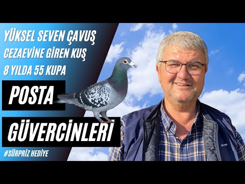 Cezaevine Giren Posta Güvercininin Hikayesi Yüksel Seven (Çavuş)