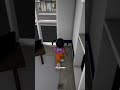 Brookhaven glitch roblox