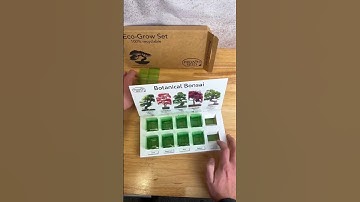 Grow your own Bonsai Trees with our Eco Grow Kit🌳 #asmr #shorts