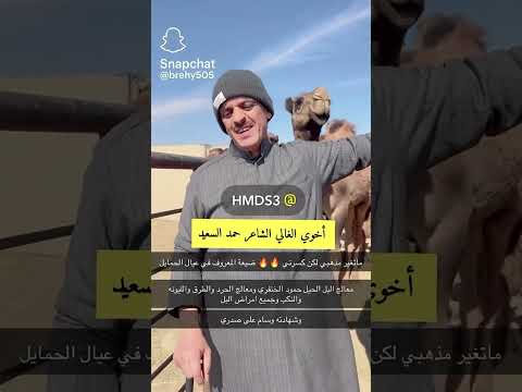 اول ظهور للشاعر الكويتي حمد السعيد عضو لجنة التحكيم في شاعر المليون عند الابل حصري اكسبلور ترند