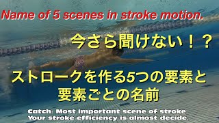 Name of 5 scenes in stroke motions. 5つの要素からなる ストローク 動作 の名称 【 水泳 】【 競泳 】【 初心者 】for beginner.