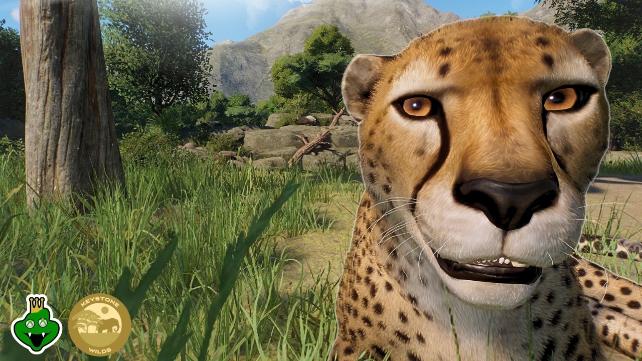 Создание среды обитания гепарда в самом центре нашего сафари-тура 🐆 | Planet Zoo