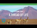 Thread of Life: A Win-Win for People and Nature