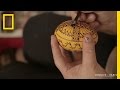 Incredible egg art will awe you  short film showcase