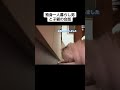 おしゃべり子猫 #cat #kitty
