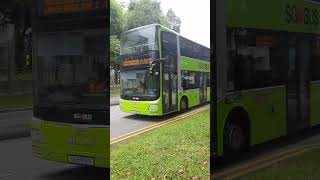 SG5815X Passing By In The Rain (No Music)