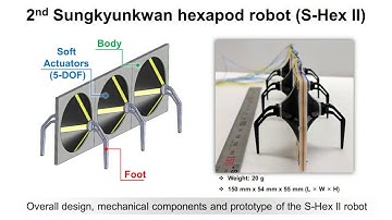 Novel Bioinspired Hexapod Robot Developed By Soft Dielectric Elastomer Actuators