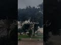 بطير وانا لسا في مكاني حياتي تلونت تاني حالات واتس