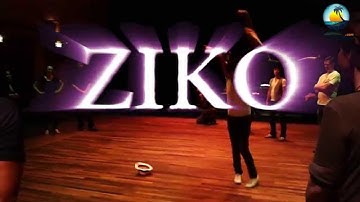 ZIKO COEHOORNPARK | STADSVILLA ARNHEM 2014