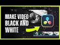 How to Make Videos Black and White in DaVinci Resolve