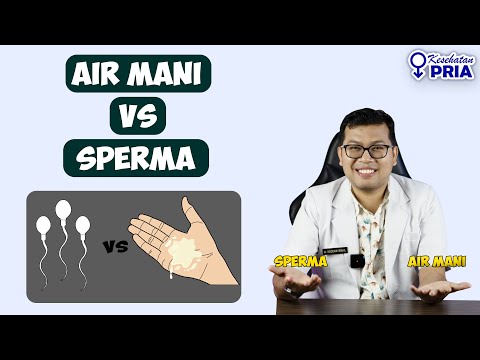 Video: Apa arti kata sperma?