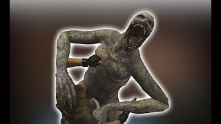 BioHazard 4 Debug Feature ( Regenerator )