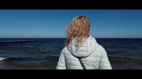 The Ambientalist - In A Better World