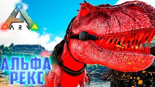 :   - ARK Survival AG Reborn #10