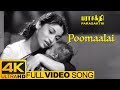 Parasakthi Tamil Movie Songs | Poomaalai Full Video Song 4k | Sivaji Ganesan | 4k HD Video Songs