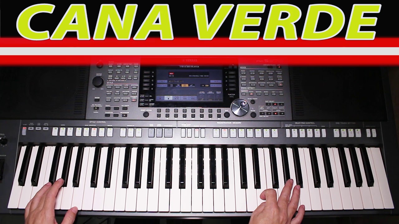 CANA VERDE - TONICO E TINOCO