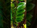 Creative Photography | Tips & Tricks #editing #photography #nature #tipsandtricks #viralshorts #fyp