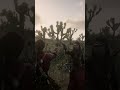 The only way to duel in red dead online