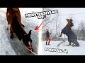 Fails & Funny Moments 😂 Śmiesznie i strasznie !