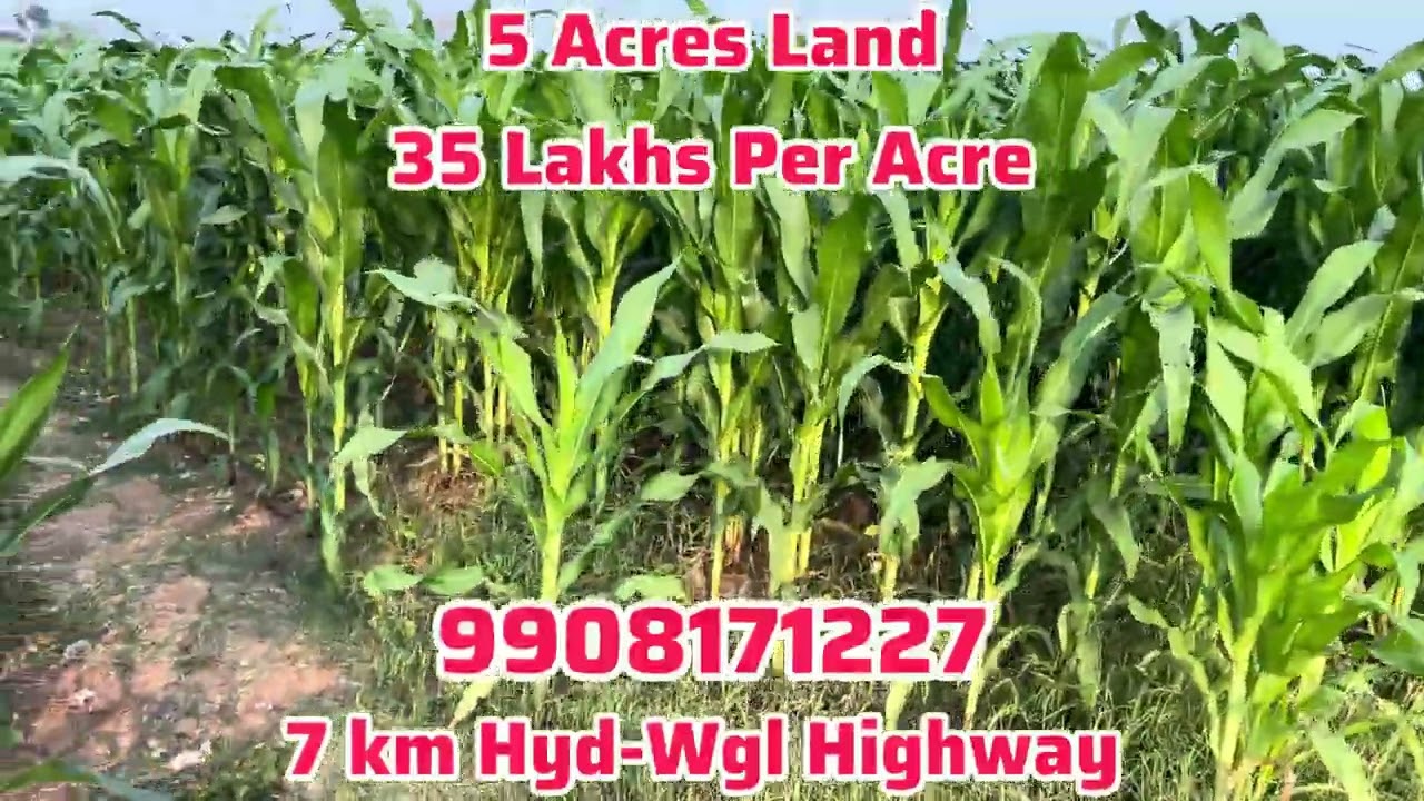 5 Acres Land | 2 Bores | 18 km #jangaondistrict #landforsale #propertyforsale #investor #agriculture