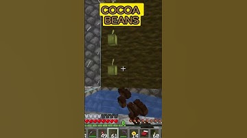 MINECRAFT - COCOA BEANS #minecraft #shortsfeed #shorts